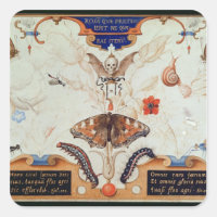 Diptyque avec fleurs et insectes, 1591