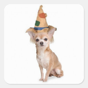 Sticker Carré Ditzy Dogs~Sticker original~Chihuahua~Halloween