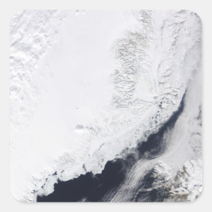 Sticker Carré Divers types de glace de mer