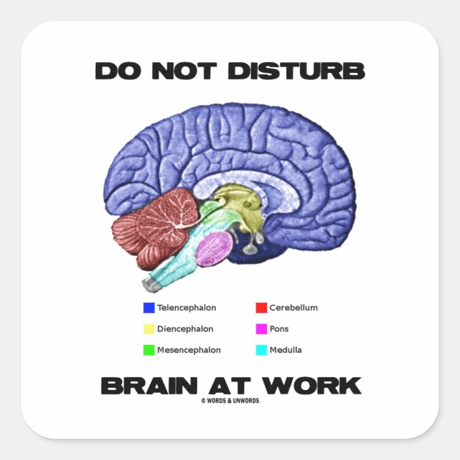 Sticker Carré Do Not Disturb Brain At Work (Devant)