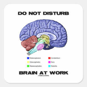 Sticker Carré Do Not Disturb Brain At Work