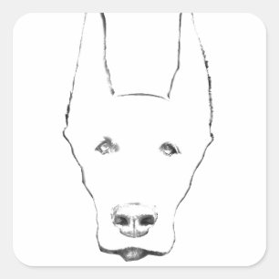 Sticker Carré Doberman Pinscher Dog Croquis Visage