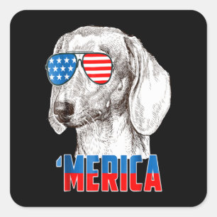 Sticker Carré Dog Cool Dachshund 'Merica