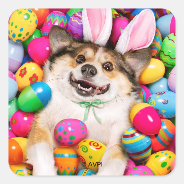 Sticker Carré Dog Laying on Easter Eggs (Devant)