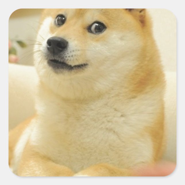 Sticker Carré Doge (Devant)