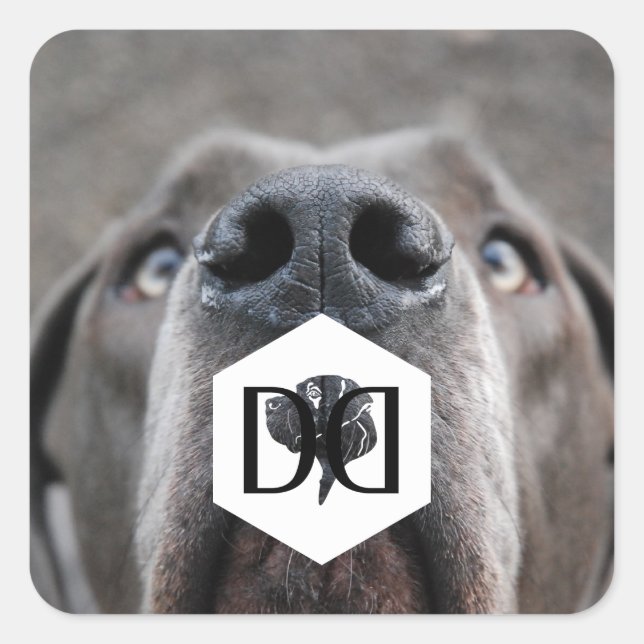 Sticker Carré Doggenzucht Aufkleber (Devant)