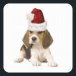Sticker Carré Dogs~Original Ditzy Sticker~Beagle~Christmas<br><div class="desc">Dogs~Original Ditzy Sticker~Beagle~Christmas</div>