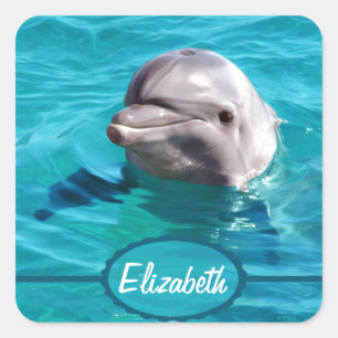 Sticker Carré Dolphin dans Blue Water Photo