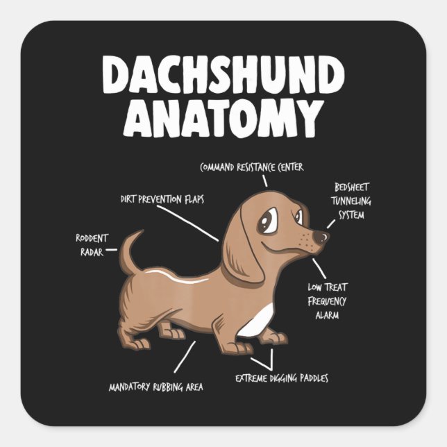 Sticker Carré Don de chien | Anatomie Dachshund Funny Weiner (Devant)