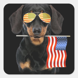 Sticker Carré Don de chien | Dachshund Avec Drapeau Usa