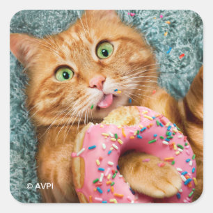 Sticker Carré Donut mangeur de chats