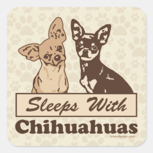 Sticker Carré Dors Avec Chihuahuas