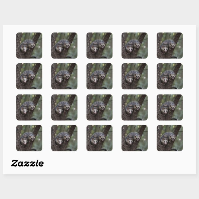 Sticker Carré Double difficulté dans la canopée : Sommes jumelle (Feuille)