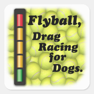 Sticker Carré Drag Racing pour chiens