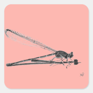 Sticker Carré Dragon Fly