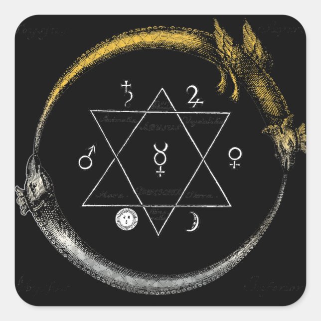 Sticker Carré Dragon & Serpent Ouroboros (Devant)