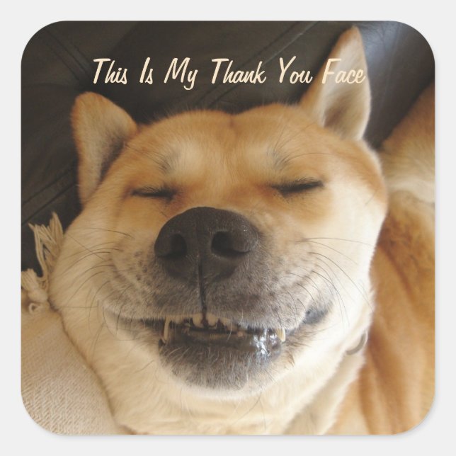 Sticker Carré drôle akita japonaise avec mignon toutes les occas (Devant)