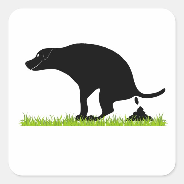 Sticker Carré Drôle Chien Pooping (Devant)