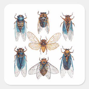 Sticker Carré Drôle Cicadas Insect Bug Graphisme Cicada Lover