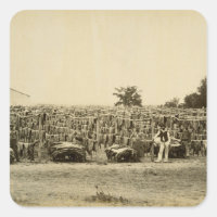 Drying leather, Argentina