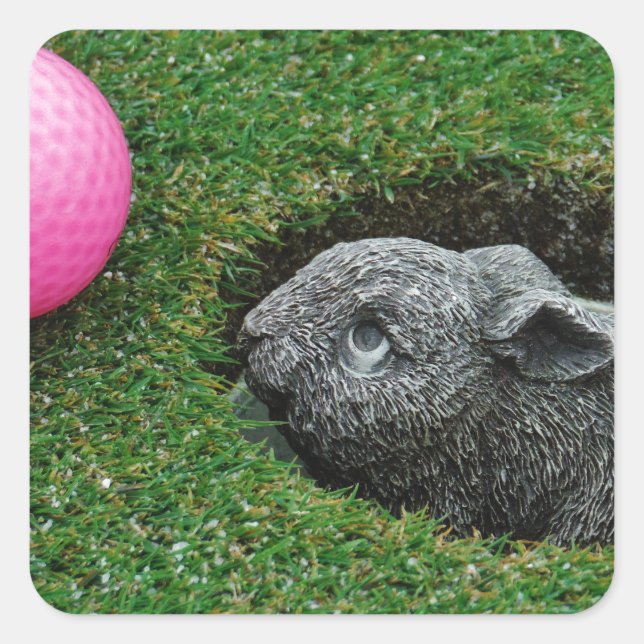 STICKER CARRÉ DSCF0652.JPG (Devant)