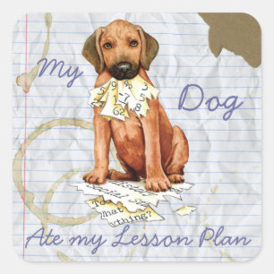 Sticker Carré du plan de leçon Rhodesian Ridgeback