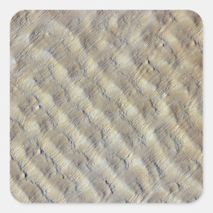 Sticker Carré Dunes de sable dans l'erg Fachi-Bilma