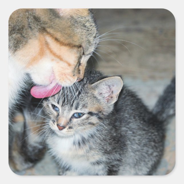 Sticker Carré Durée du bain (Devant)