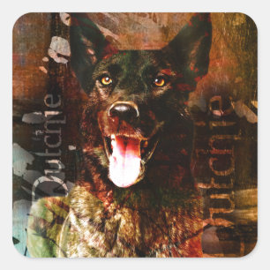 Sticker Carré Dutch-ContrastTankDutch Shepherd chien - Dutchie