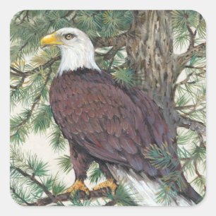 Sticker Carré Eagle chauve sur la branche