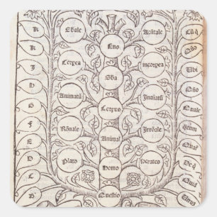 Sticker Carré Échelle céleste