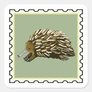 Sticker Carré Echidné mignon art de timbre australien