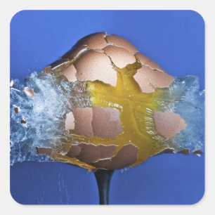 Sticker Carré Éclaircissant