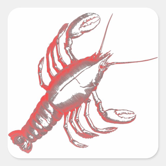Sticker Carré Écrepoisson (Devant)