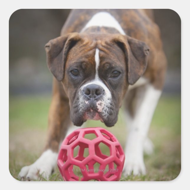 Sticker Carré edmonton, alberta canada (Devant)