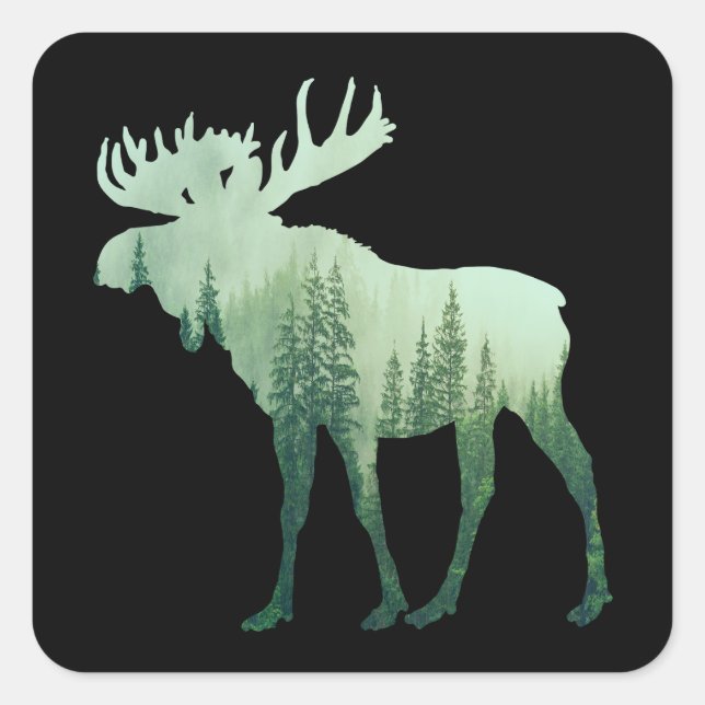 Sticker Carré Élan Cerf Et Forêt Nature (Devant)