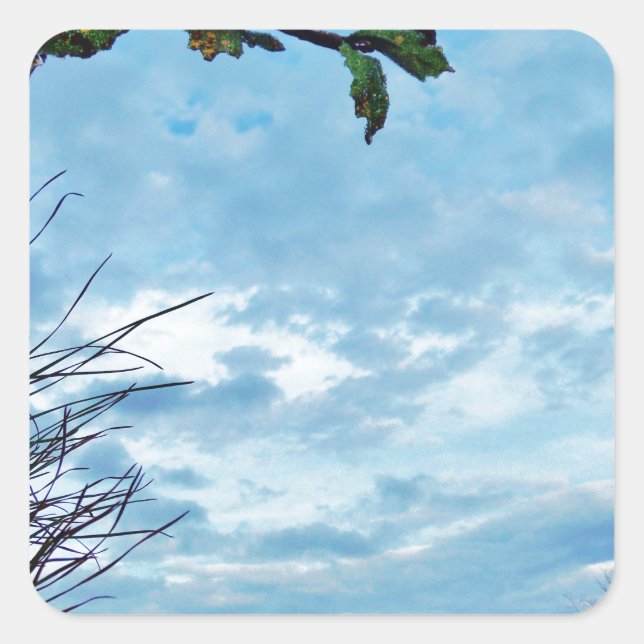 Sticker Carré Élégant Noël Holly, ciel bleu (Devant)