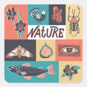 Sticker Carré Éléments de la nature, Icônes de style rétro.