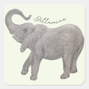 Sticker Carré Eléphant bébé avec texte