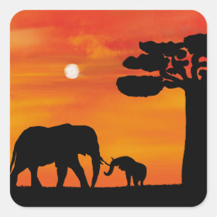 Sticker Carré éléphant, ,ciel ,animaux ,lever de soleil ,nature