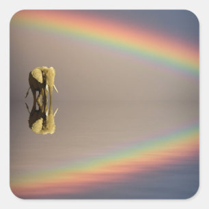 Sticker Carré Eléphant, Eau et Arc-en-ciel, Kenya