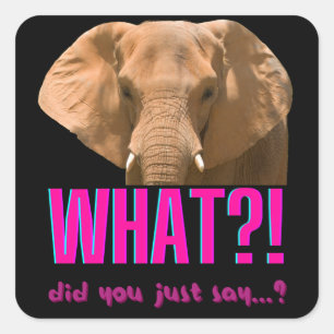 Sticker Carré Éléphant Qu'est-ce que vous venez de dire ?