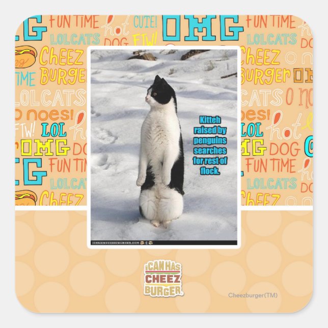 Sticker Carré Élevé par des pingouins (Devant)