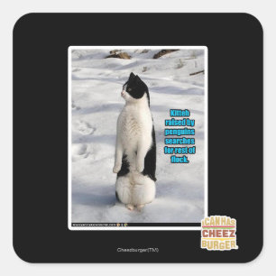Sticker Carré Élevé par des pingouins