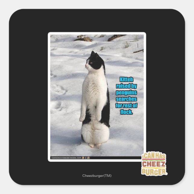 Sticker Carré Élevé par des pingouins (Devant)