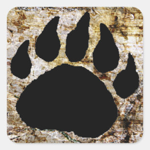 STICKER CARRÉ EMPREINTE DE PATTE D'OURS