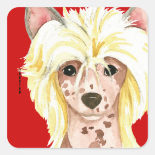 Sticker Carré en bloc couleur chinois pilé