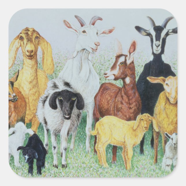 Sticker Carré En Clover (Devant)