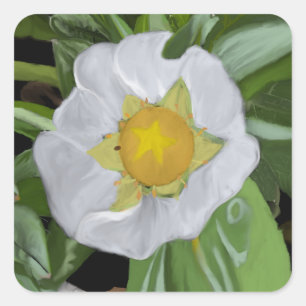 Sticker Carré en fleur de fraise