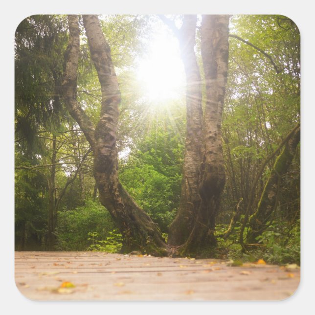 Sticker Carré En route... (Devant)